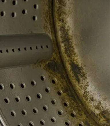 Buildup inside a washing machine