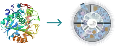 Illustration of washing machine cleaning