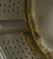 Illustration of washing machine cleaning