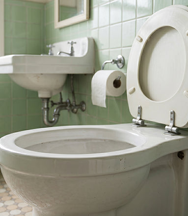Toilet used in the comparison